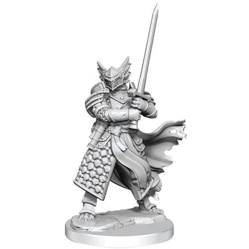 n/a D&D Frameworks W01 Dragonborn Paladin