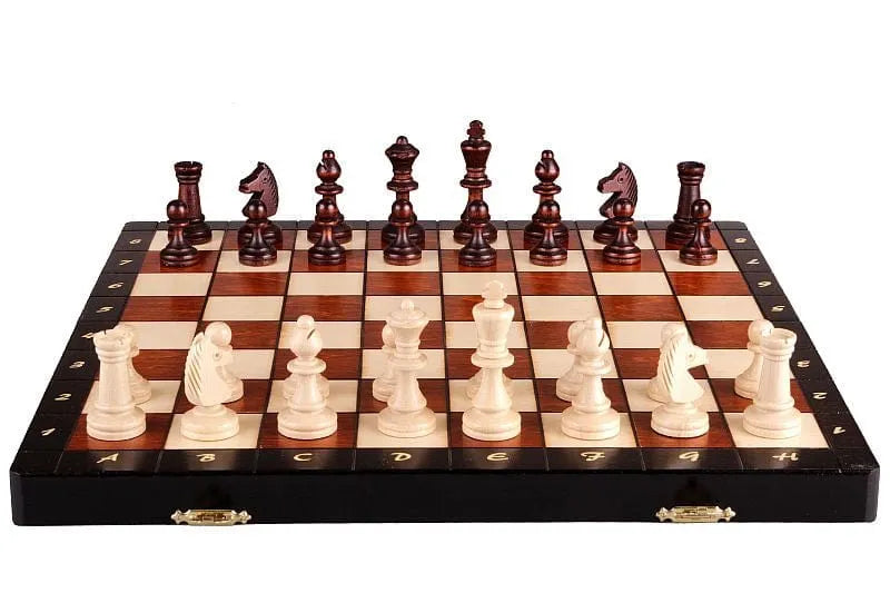 Brain Games LV MAGNETIC NEW /insert