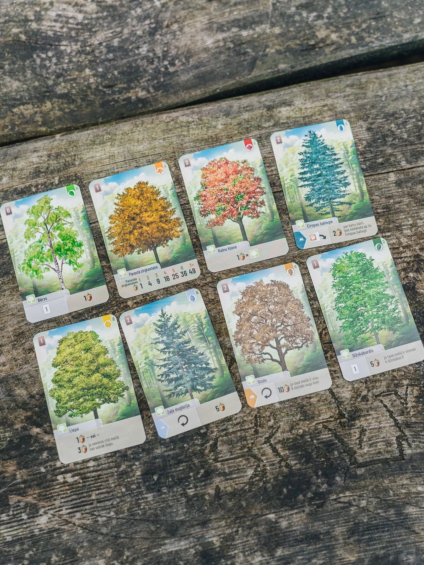 Brain Games galda spēles Mežā