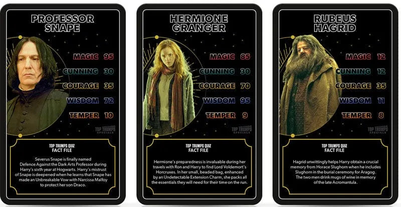 n/a n/a Top Trumps Harry Potter Heroes of Hogwarts TT Standard Plastic Case PL 2023