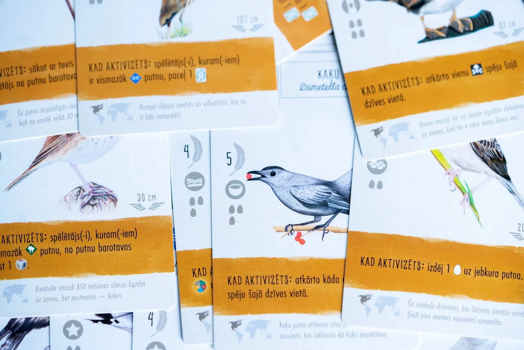 Iepazīsti Latvijas putnus kopā ar „Spārnotie“!-Brain Games LV