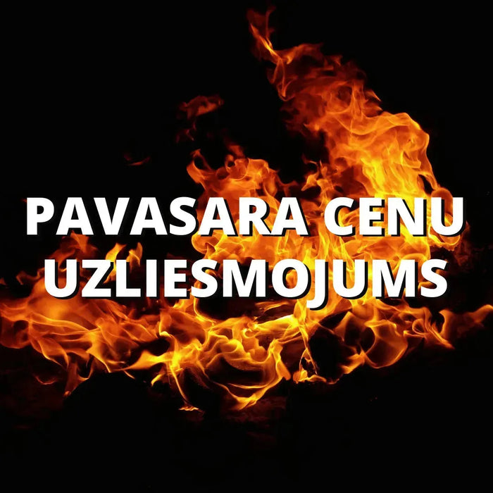 PAVASARA CENU UZLIESMOJUMS-Brain Games LV