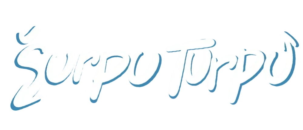 Šurpu turpu apskats-Brain Games LV