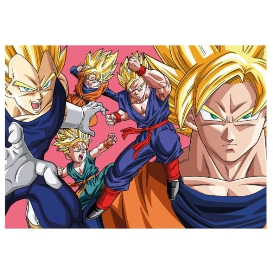 300 DRAGON BALL DBZ F
