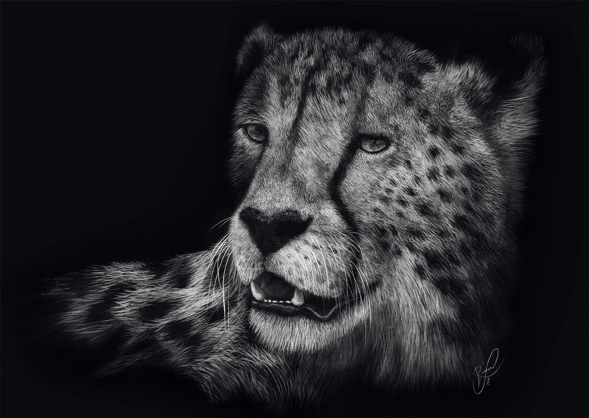 Speed-Cheetah, elegance personified
