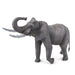 Brain Games LV African Elephant