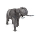 Brain Games LV African Elephant