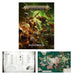 Brain Games LV AGE OF SIGMAR: Introductory Set (EN)