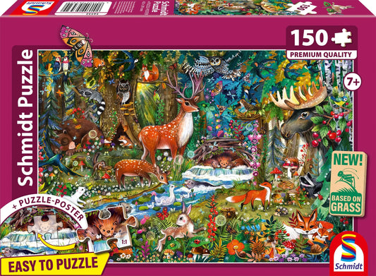 Brain Games LV Animals in the forests of Europe