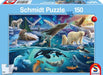 n/a n/a Arctic animals