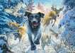 Brain Games LV Black Labrador in the snow
