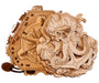 Brain Games Blackbeard’s Compass