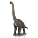 n/a n/a Brachiosaurus