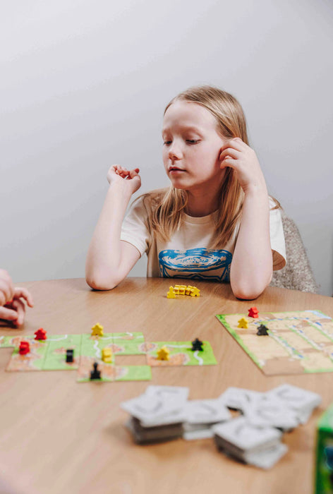 Brain Games galda spēles Carcassonne