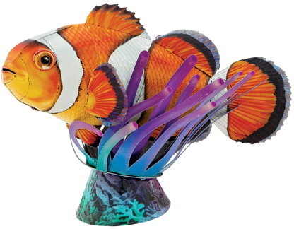 Clownfish
