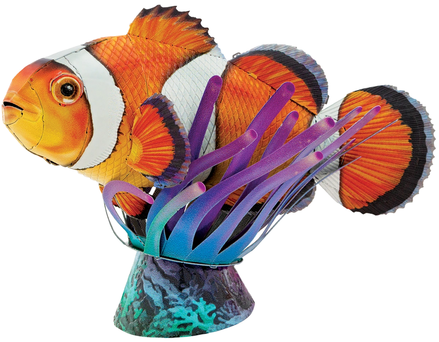 Clownfish