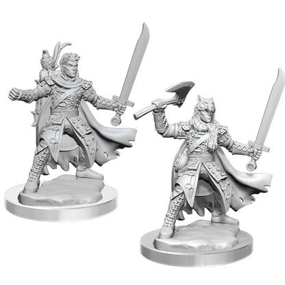 n/a D&D Frameworks W02 Half-Elf Ranger