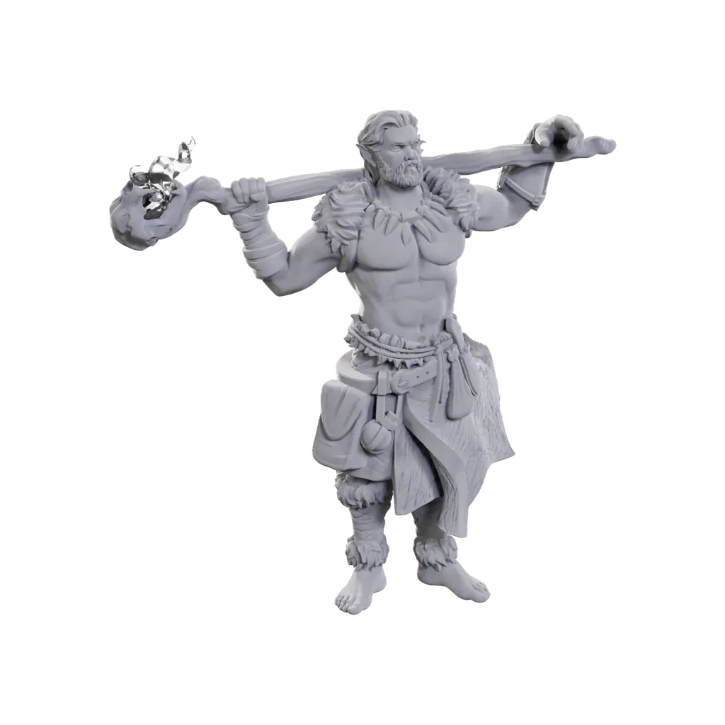 Brain Games LV D&D Nolzurs Marvelous Minis W24 Archdruid & Martial Art Adept