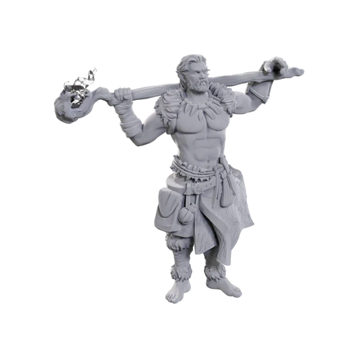 Brain Games LV D&D Nolzurs Marvelous Minis W24 Archdruid & Martial Art Adept