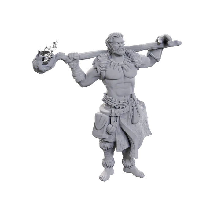 Brain Games LV D&D Nolzurs Marvelous Minis W24 Archdruid & Martial Art Adept