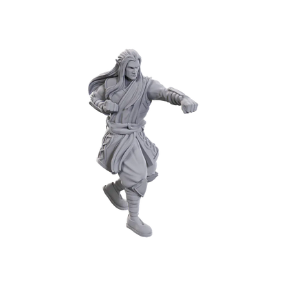 Brain Games LV D&D Nolzurs Marvelous Minis W24 Archdruid & Martial Art Adept