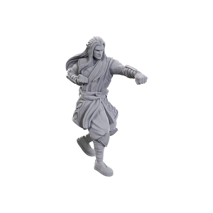 Brain Games LV D&D Nolzurs Marvelous Minis W24 Archdruid & Martial Art Adept