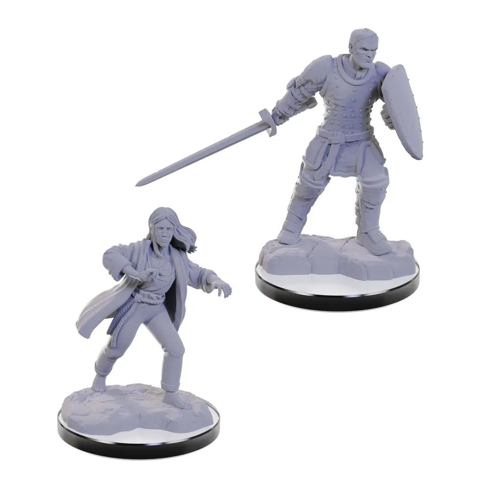 Nolzur’s Marvelous miniatūras: pelēkas plastmasas paladīns ar zobenu un vairogu un burvis uz apaļām pamatnēm.