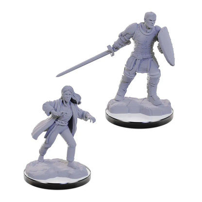 Nolzur’s Marvelous miniatūras: pelēkas plastmasas paladīns ar zobenu un vairogu un burvis uz apaļām pamatnēm.