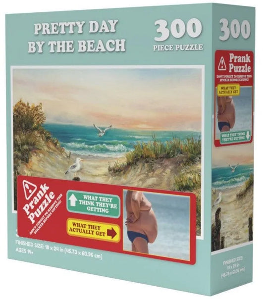 Brain Games LV Doing Things Beach Prank Puzzle 300pcs