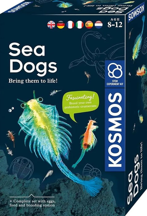 Brain Games LV Eksperimentu komplekts Sea Dogs
