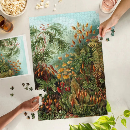 Brain Games LV Ernst Haeckel Muscinae Puzzle 1000 pcs