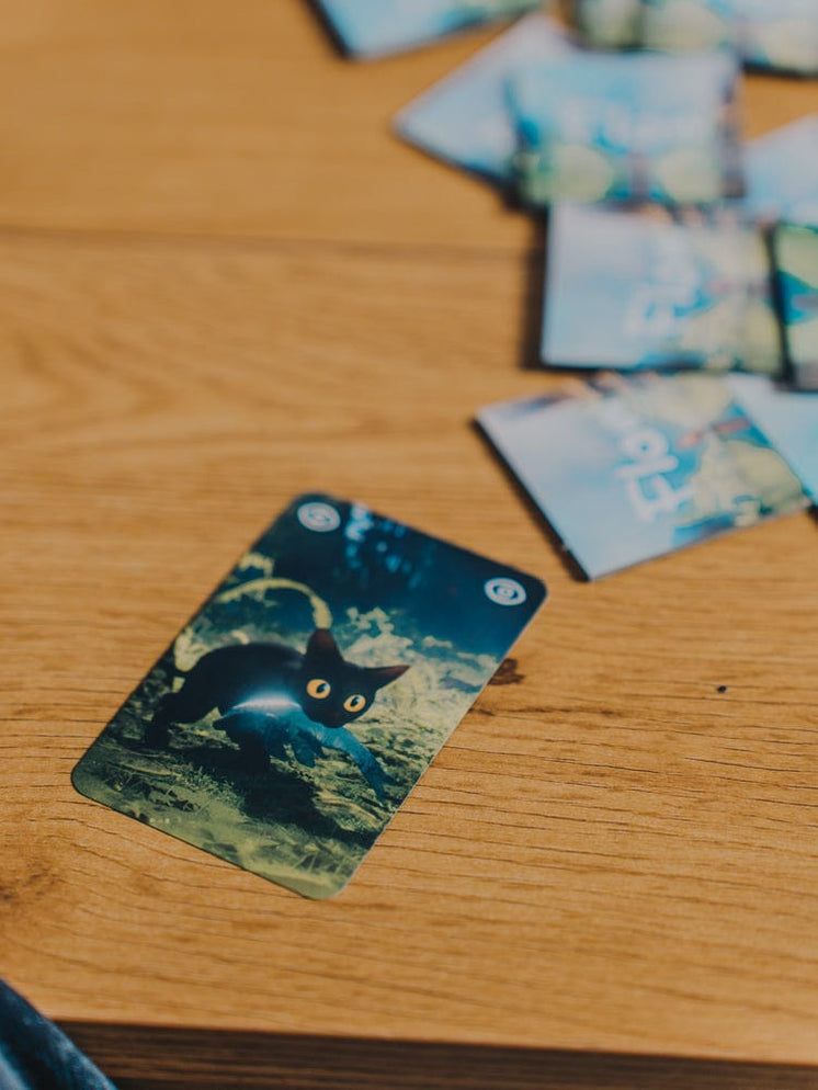 Flow — Brain Games LV