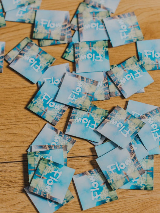 Flow — Brain Games LV