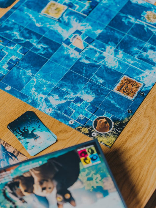 Flow — Brain Games LV