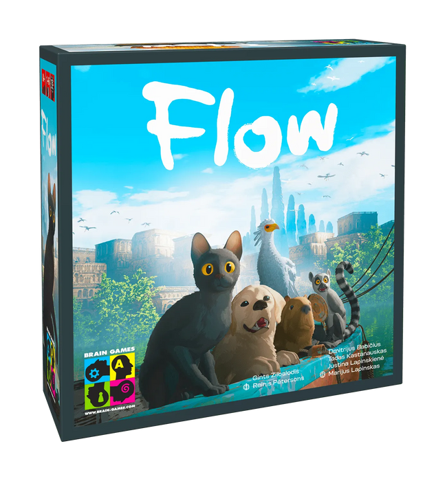 Brain Games galda spēles Flow
