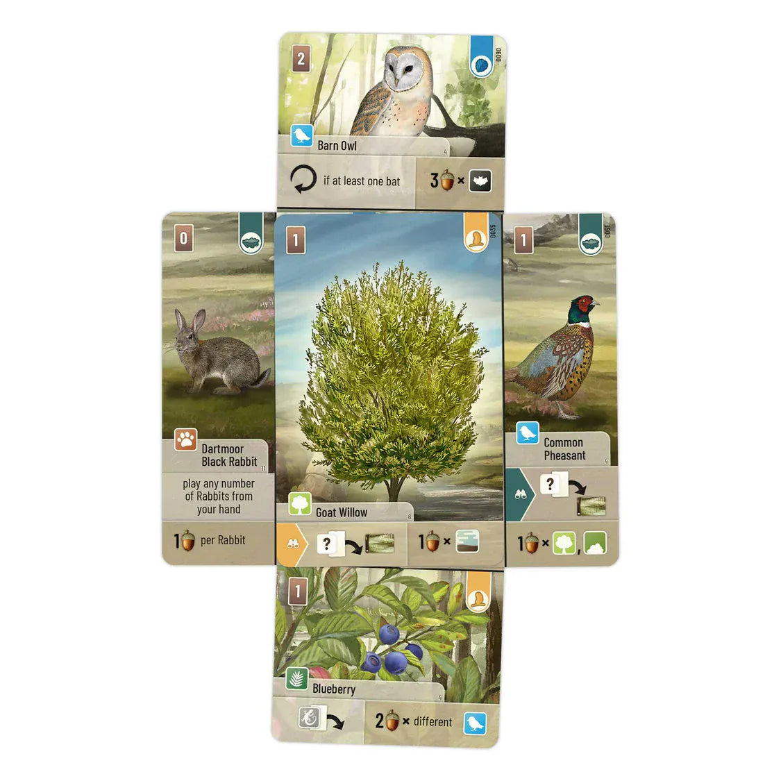 Brain Games LV Forest Shuffle Dartmoor