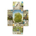 Brain Games LV Forest Shuffle Dartmoor