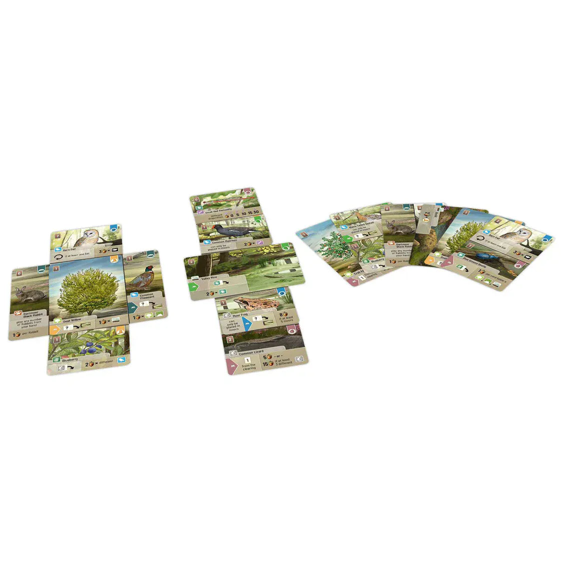 Brain Games LV Forest Shuffle Dartmoor