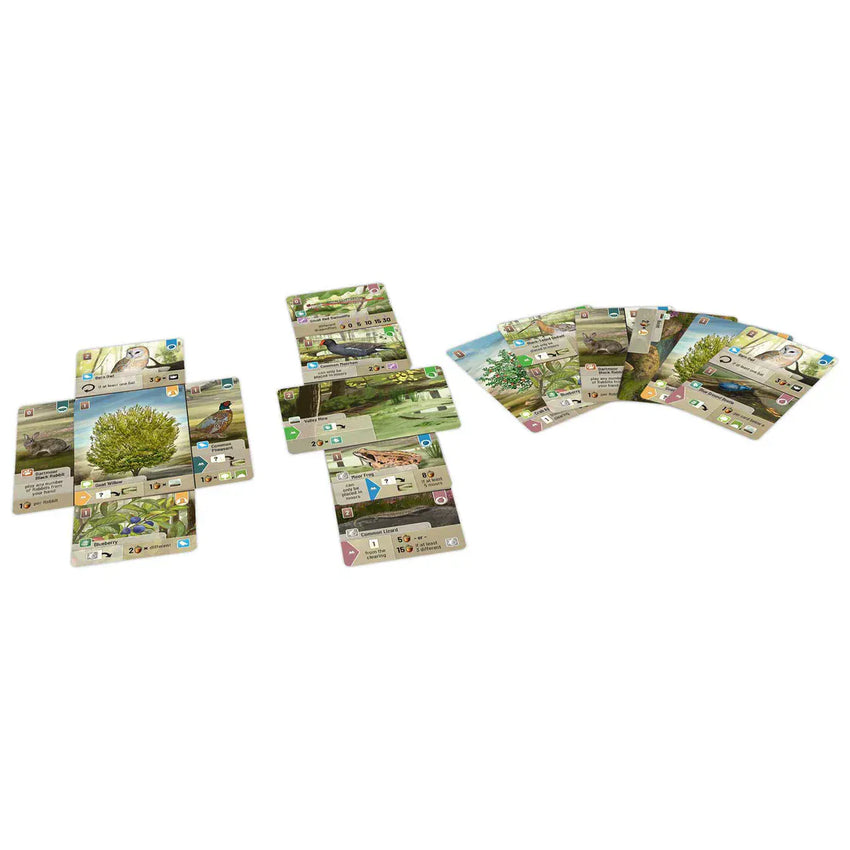 Brain Games LV Forest Shuffle Dartmoor