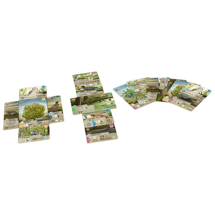 Brain Games LV Forest Shuffle Dartmoor