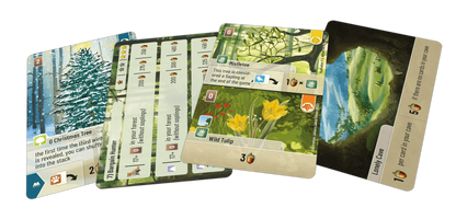Brain Games LV Forest Shuffle: Exploration EN (paplašinājums)