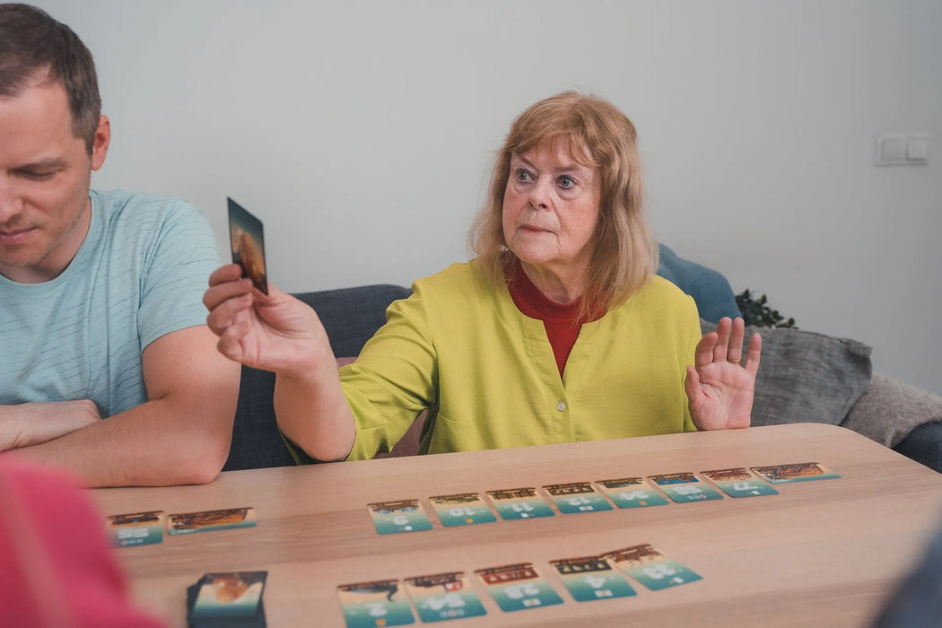 Brain Games LV Galda spēle Game of Trains