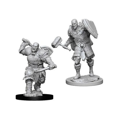 n/a Miniatūra Goliath Male Fighter, D&D Nolzur's Marvelous Miniatures