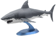 n/a n/a Great White Shark