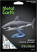 n/a n/a Great White Shark