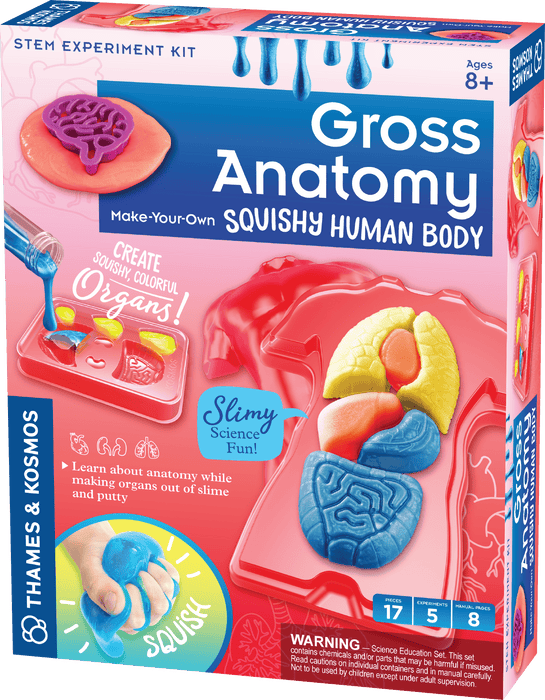 Brain Games LV Gross Anatomy