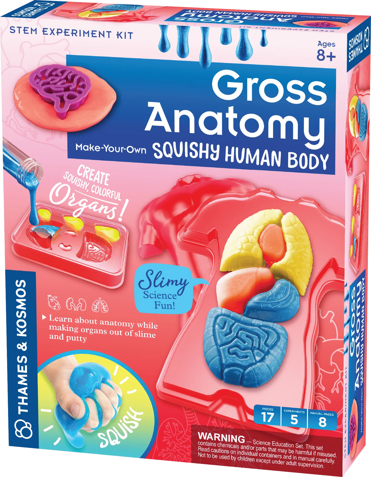 Brain Games LV Gross Anatomy
