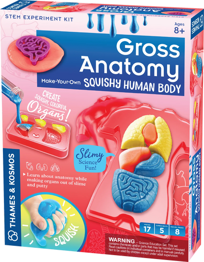 Brain Games LV Gross Anatomy