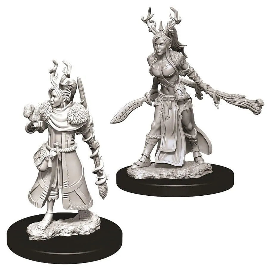 n/a Miniatūra Human Female Druid, D&D Nolzur's Marvelous Miniatures