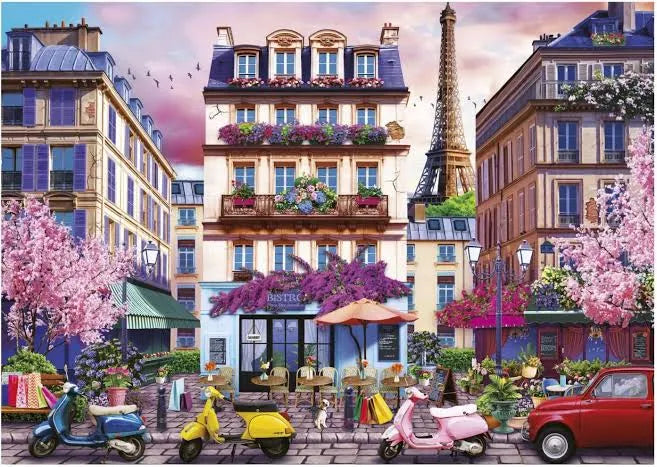 Shopping in Paris  500